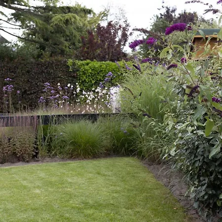 Toekomst 24 - - De Zeebries Not Intended For Company Or Work-related Ауддорп