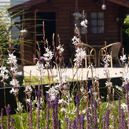 Toekomst 24 - - De Zeebries Not Intended For Company Or Work-related Дом отдыха Ауддорп