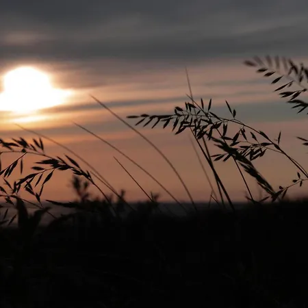 Дом отдыха Toekomst 24 - - De Zeebries Not Intended For Company Or Work-related Ауддорп