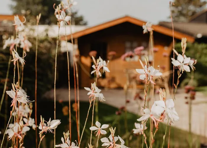 Toekomst 24 - - De Zeebries Not Intended For Company Or Work-related Ouddorp