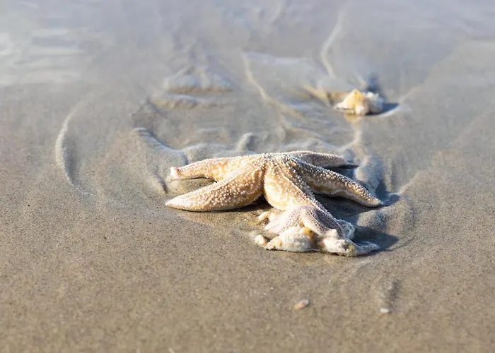 Toekomst 24 - - De Zeebries Not Intended For Company Or Work-related *