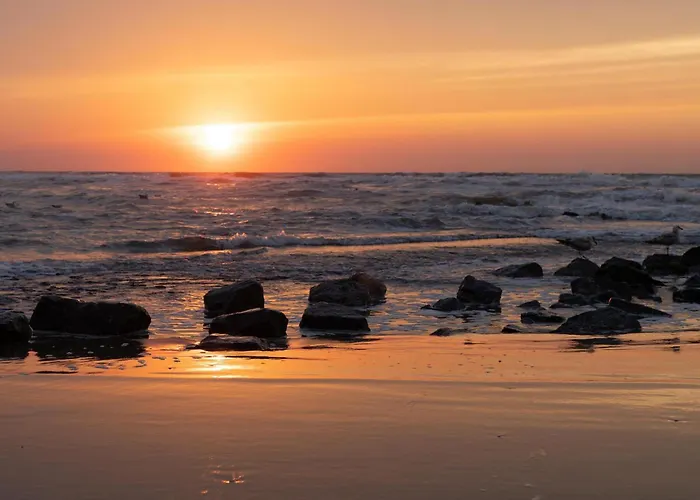 Toekomst 24 - - De Zeebries Not Intended For Company Or Work-related * Ouddorp