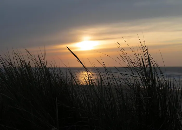 Tatil Evi Toekomst 24 - - De Zeebries Not Intended For Company Or Work-related