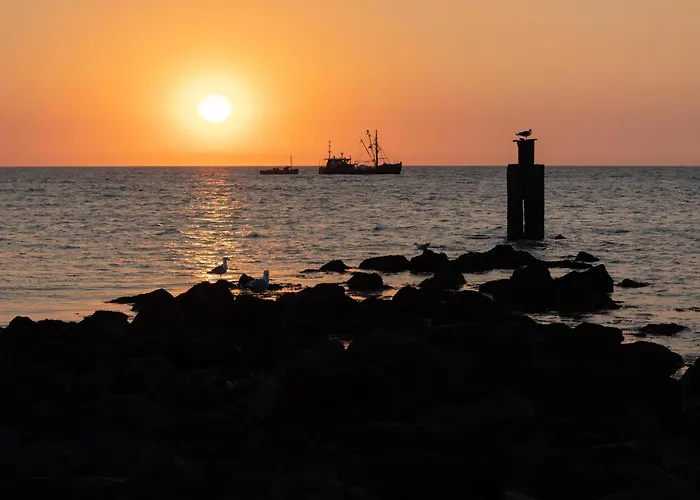 Toekomst 24 - - De Zeebries Not Intended For Company Or Work-related Tatil Evi *