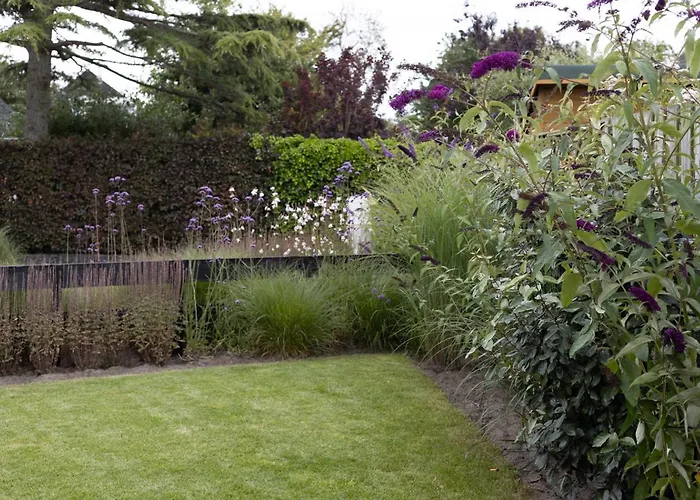 Toekomst 24 - - De Zeebries Not Intended For Company Or Work-related Tatil Evi *