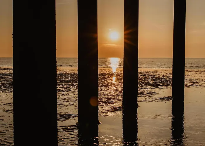 Toekomst 24 - - De Zeebries Not Intended For Company Or Work-related *