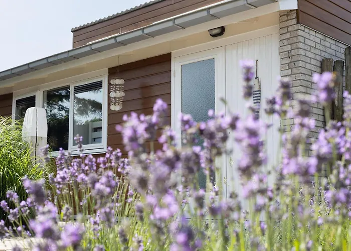 Tatil Evi Toekomst 24 - - De Zeebries Not Intended For Company Or Work-related