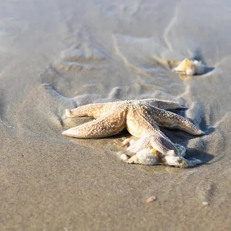 Toekomst 24 - - De Zeebries Not Intended For Company Or Work-related *