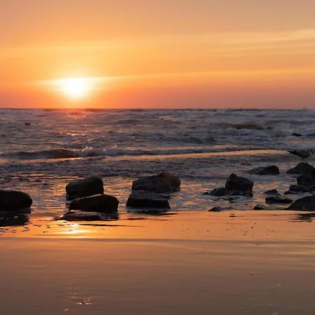 Toekomst 24 - - De Zeebries Not Intended For Company Or Work-related * 우도르프