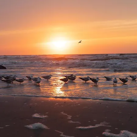 펜션 Toekomst 24 - - De Zeebries Not Intended For Company Or Work-related *