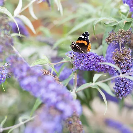 Toekomst 24 - - De Zeebries Not Intended For Company Or Work-related *