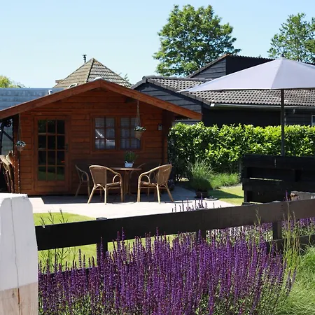 펜션 Toekomst 24 - - De Zeebries Not Intended For Company Or Work-related *