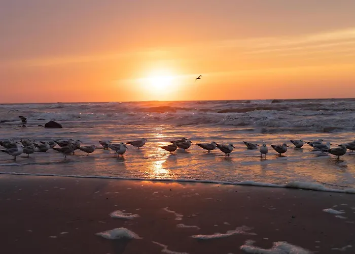 בית נופש Toekomst 24 - - De Zeebries Not Intended For Company Or Work-related *