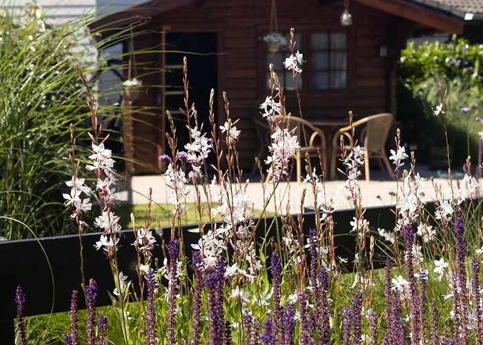 Toekomst 24 - - De Zeebries Not Intended For Company Or Work-related בית נופש אאודורפ