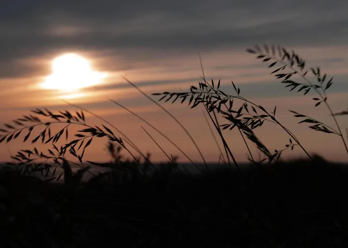 בית נופש Toekomst 24 - - De Zeebries Not Intended For Company Or Work-related אאודורפ