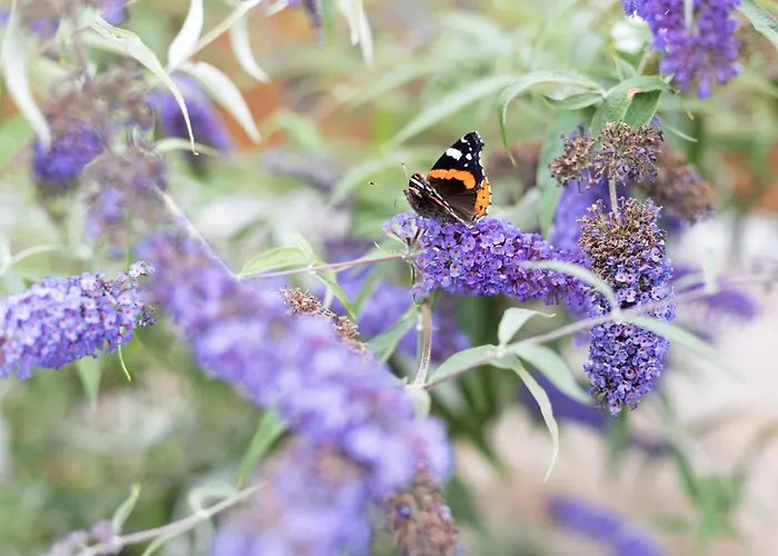 Toekomst 24 - - De Zeebries Not Intended For Company Or Work-related *