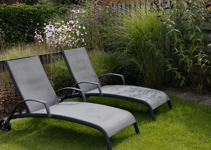 Toekomst 24 - - De Zeebries Not Intended For Company Or Work-related